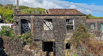 Maison rustique T0 à Ribeiras de 70 m²