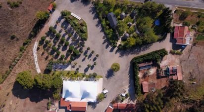 Ferme T6 à Santiago do Cacém, Santa Cruz e São Bartolomeu da Serra de 990 m²