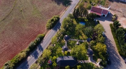 Ferme T6 à Santiago do Cacém, Santa Cruz e São Bartolomeu da Serra de 990 m²