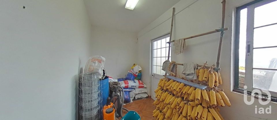 Gîte T4 à Piedade de 216 m²