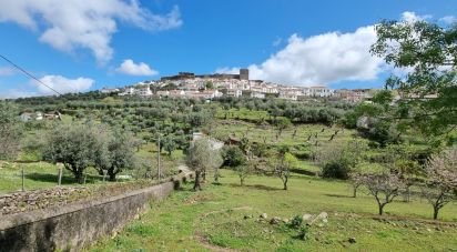 Farm land in Santa Maria da Devesa of 3,750 m²