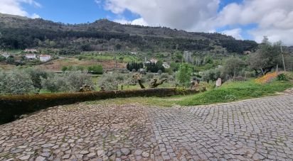 Farm land in Santa Maria da Devesa of 3,750 m²