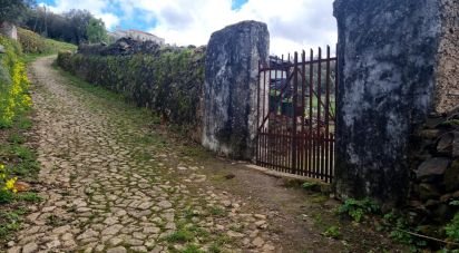 Farm land in Santa Maria da Devesa of 3,750 m²