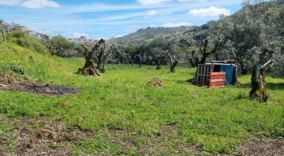 Farm land in Santa Maria da Devesa of 3,750 m²