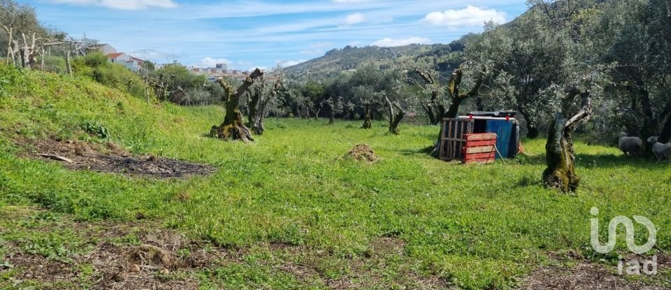 Farm land in Santa Maria da Devesa of 3,750 m²