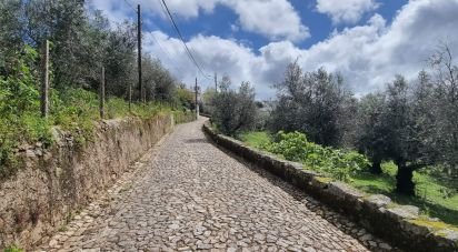 Farm land in Santa Maria da Devesa of 3,750 m²