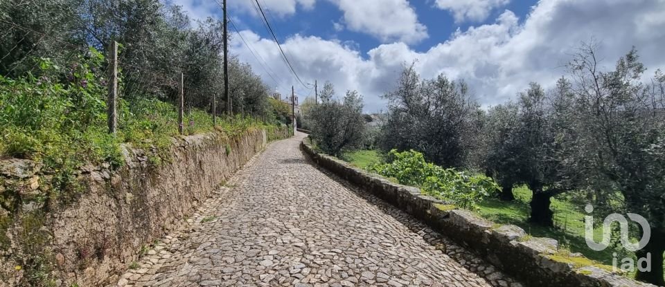 Farm land in Santa Maria da Devesa of 3,750 m²