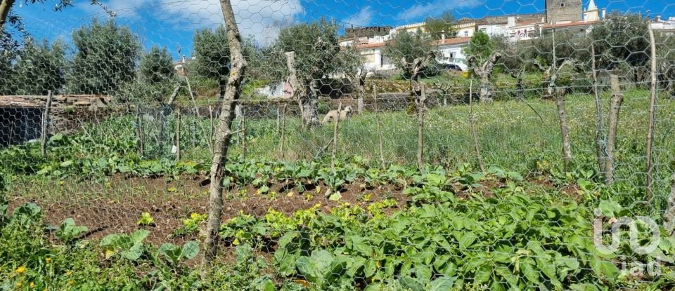 Farm land in Santa Maria da Devesa of 3,750 m²