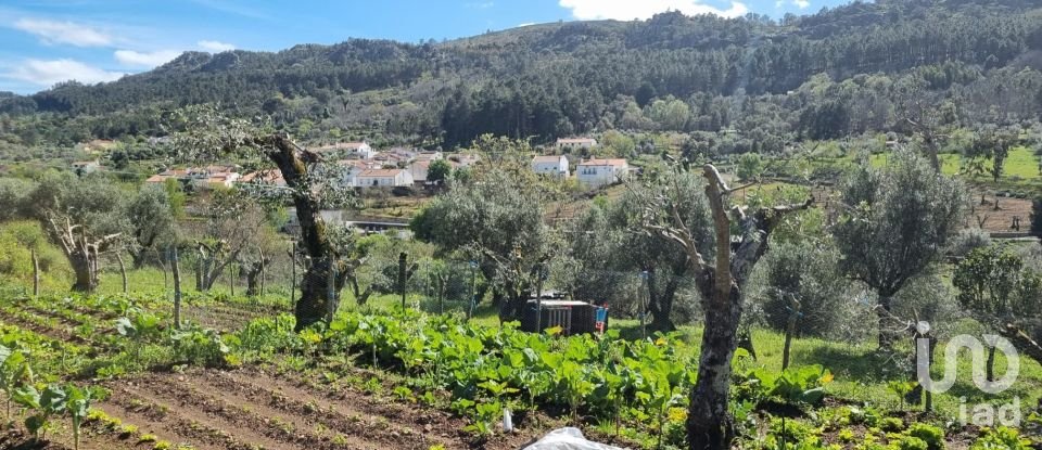 Farm land in Santa Maria da Devesa of 3,750 m²