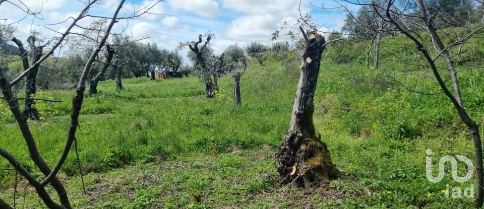 Farm land in Santa Maria da Devesa of 3,750 m²