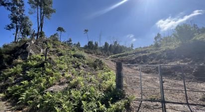 Terrain à Travanca de 24 500 m²