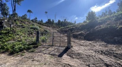 Terrain à Travanca de 24 500 m²