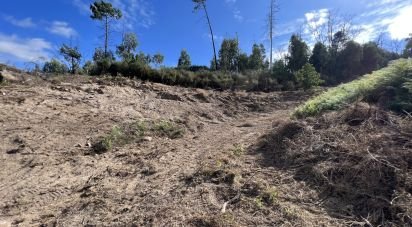 Terrain à Travanca de 24 500 m²