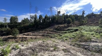 Terrain à Travanca de 24 500 m²