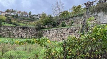 Terrain à Amarante (São Gonçalo), Madalena, Cepelos e Gatão de 1 955 m²