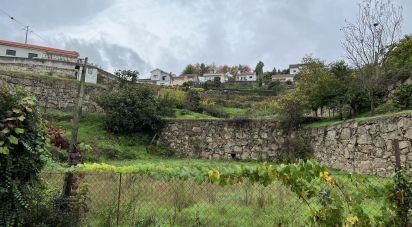 Terrain à Amarante (São Gonçalo), Madalena, Cepelos e Gatão de 1 955 m²
