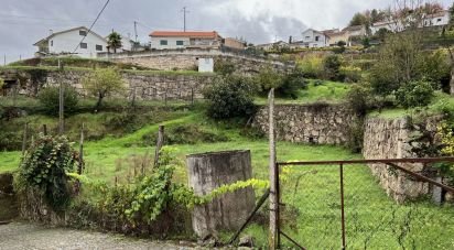 Terrain à Amarante (São Gonçalo), Madalena, Cepelos e Gatão de 1 955 m²