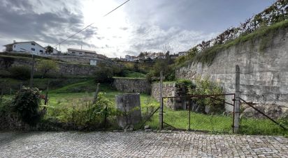 Terrain à Amarante (São Gonçalo), Madalena, Cepelos e Gatão de 1 955 m²