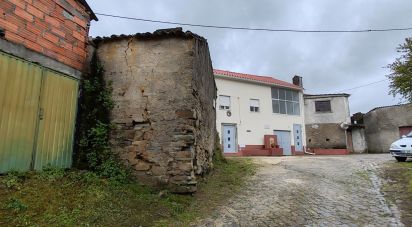 Maison de village T1 à Troviscal de 30 m²
