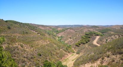 Terrain agricole à Vaqueiros de 23 880 m²