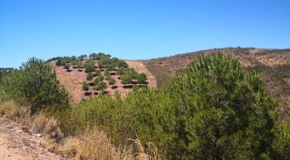 Terrain agricole à Vaqueiros de 23 880 m²