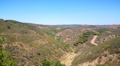 Terrain agricole à Vaqueiros de 23 880 m²