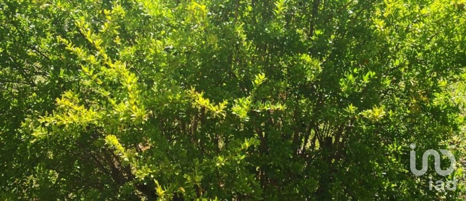 Terreno rústico em Vaqueiros de 23 880 m²