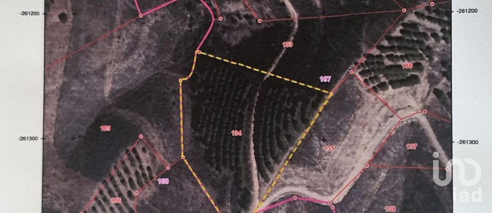 Terreno rústico em Vaqueiros de 23 880 m²