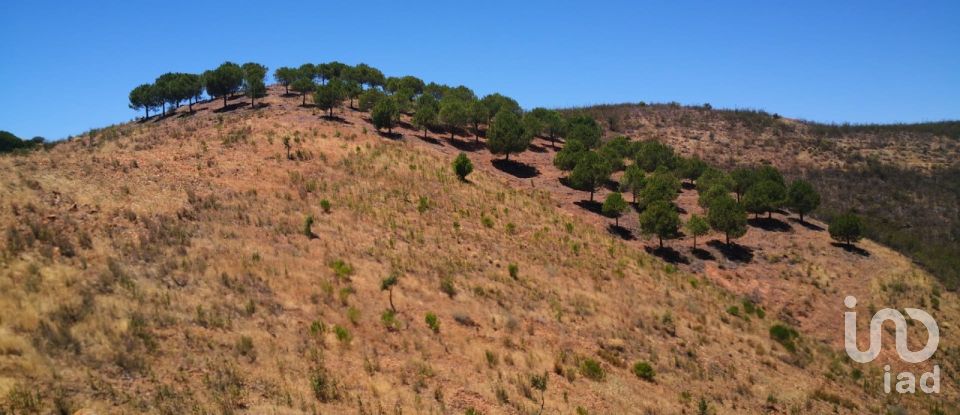Agricultural land in Vaqueiros of 23,880 m²