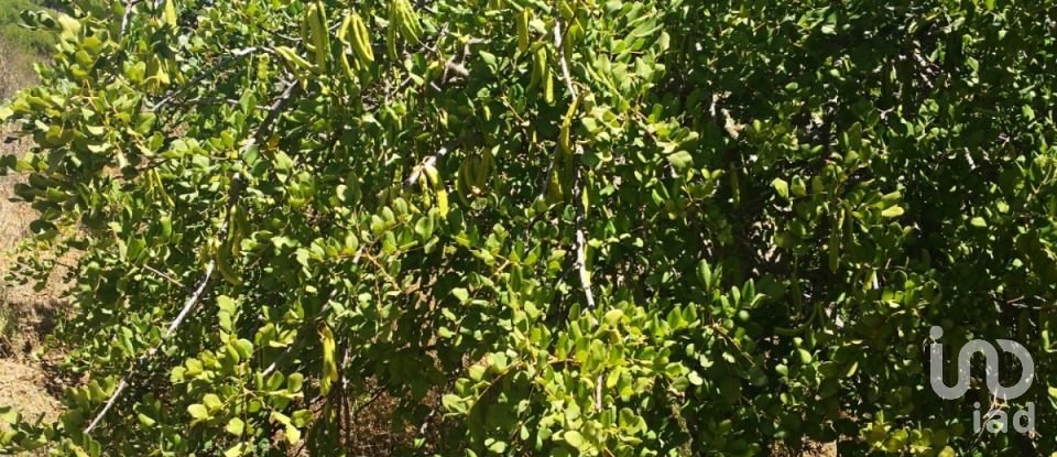 Terreno rústico em Vaqueiros de 23 880 m²