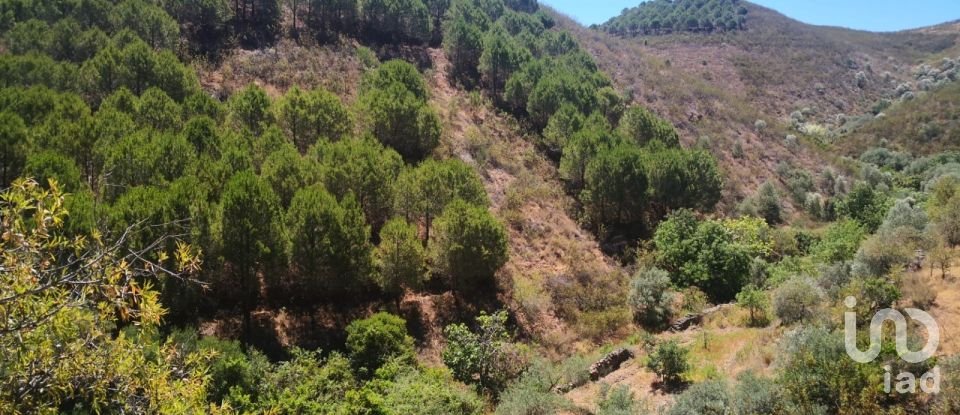 Terreno rústico em Vaqueiros de 23 880 m²