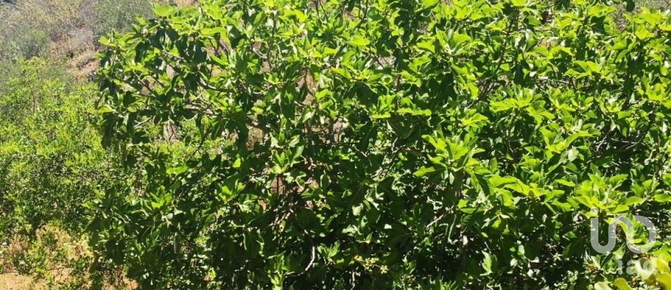 Terreno rústico em Vaqueiros de 23 880 m²