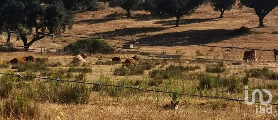 Terreno rústico em Vaqueiros de 23 880 m²