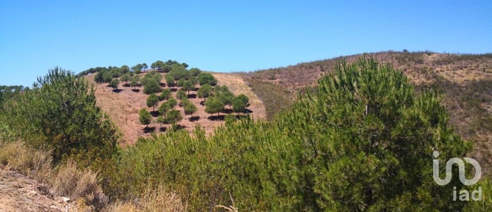 Terreno rústico em Vaqueiros de 23 880 m²