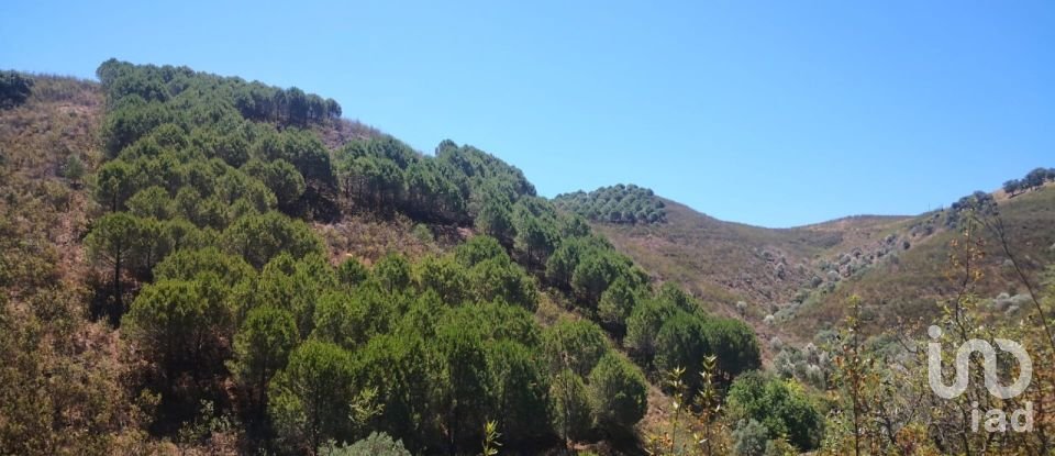 Terreno rústico em Vaqueiros de 23 880 m²