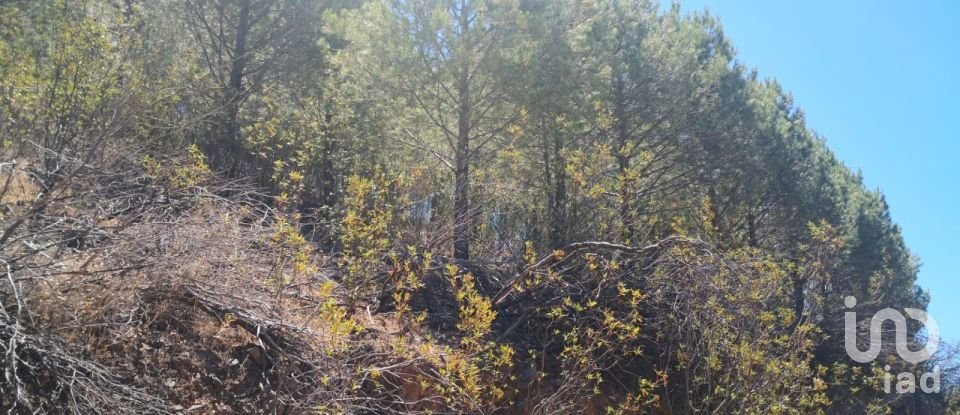 Terreno rústico em Vaqueiros de 23 880 m²