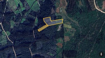 Terreno Agrícola em Alvorge de 7 090 m²