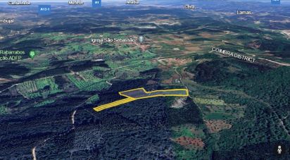 Farm land in Alvorge of 7,090 m²