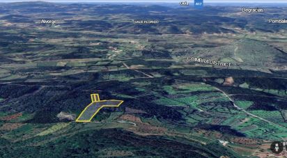 Farm land in Alvorge of 7,090 m²