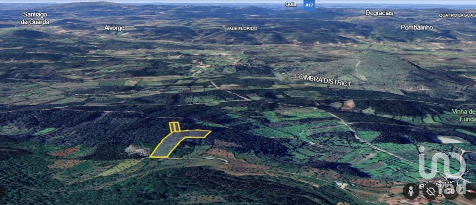 Terreno rústico em Alvorge de 7 090 m²