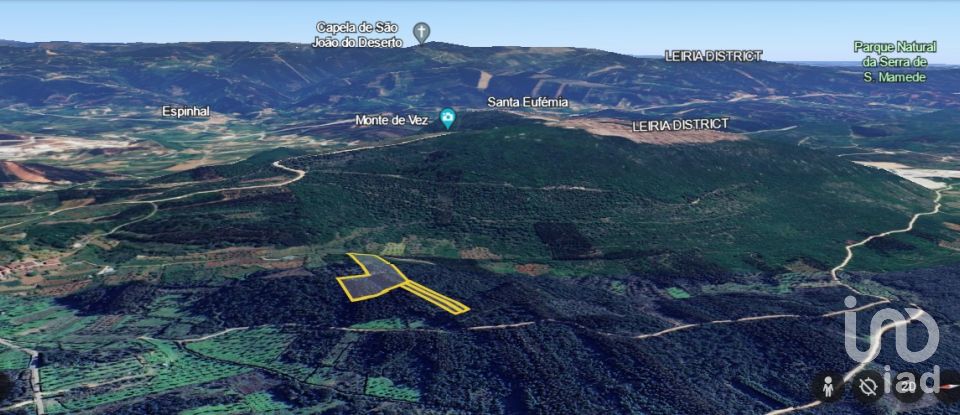 Terreno rústico em Alvorge de 7 090 m²