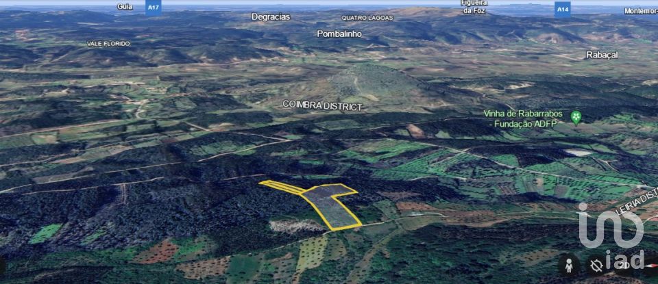 Terreno rústico em Alvorge de 7 090 m²