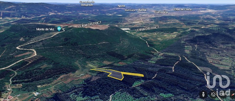 Terreno rústico em Alvorge de 7 090 m²