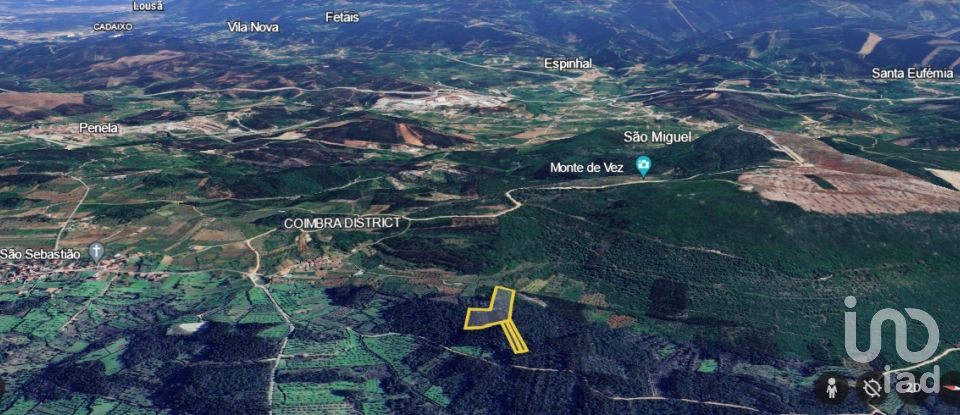 Terreno rústico em Alvorge de 7 090 m²