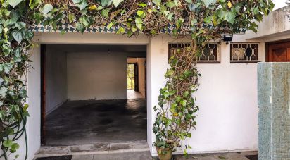 Maison traditionnelle T2 à Moreira de 172 m²
