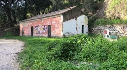 Land in Marmelete of 7,760 m²