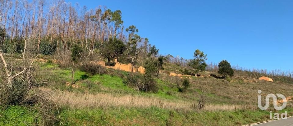 Land in Monchique of 5,480 m²
