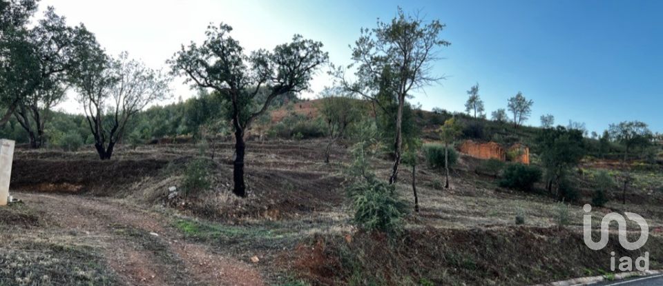 Land in Monchique of 5,480 m²