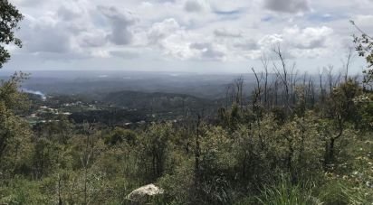 Terrain à Monchique de 4 280 m²