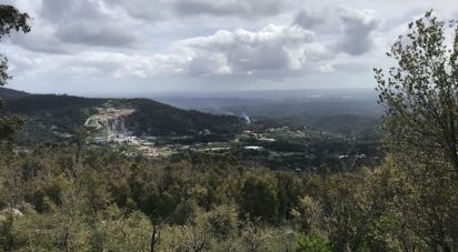Terrain à Monchique de 4 280 m²